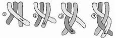 How To Braid 3 Strands Of Hair by Stormdrane S Flat Braided Lanyard How To Braid 3 Strands Of Hair