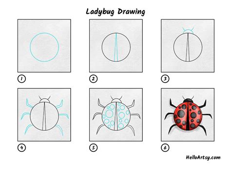 9+ Easy Ladybug Drawing Ideas - Drawing Photos