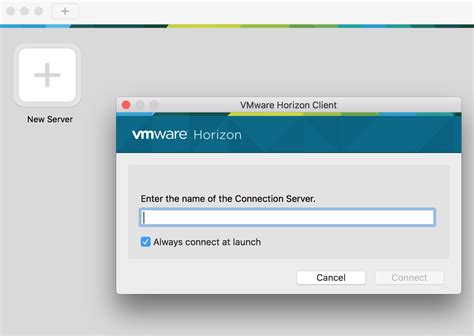 VMware Client 的图像结果