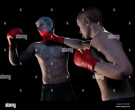 Boxing Match Drawing 的图像结果