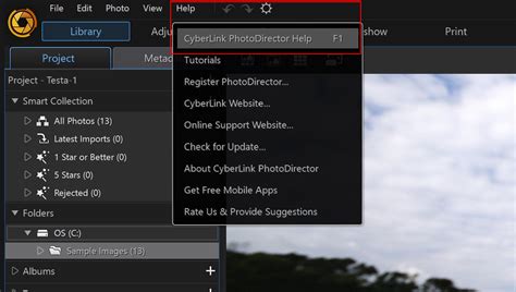 Asus PhotoDirector Tutorial 的图像结果