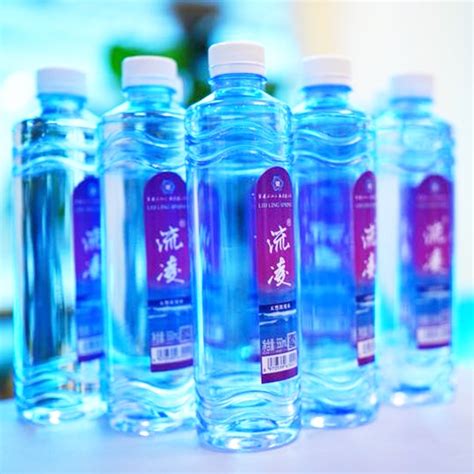 瓶装水生产线zl-pzs001-中蓝环保股份有限公司