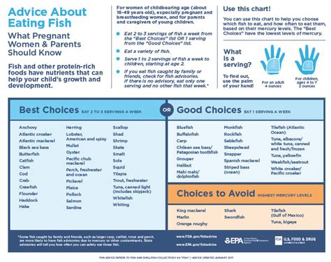Fish & Pregnancy: What is Safe to Eat? - HealthyChildren.org