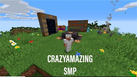 +SMP JavaServer Address 的图像结果