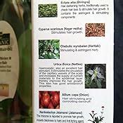 Buy INDUS VALLEY Bio Organic Growout Hair Oil for Hair Growth 100% ...