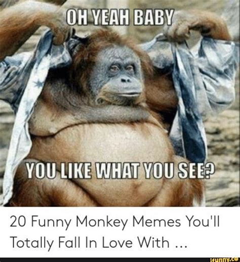 20 Funny Monkey Memes You'll Totally Fall In Love With - iFunny