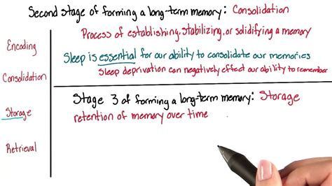 Storage Units of Memory Practice 的图像结果