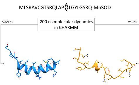 The Effect of the Ala16Val Mutation on the Secondary Structure of the ...