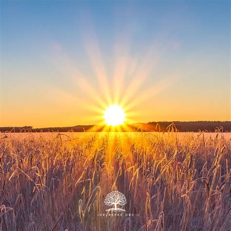 Rezultat imagine pentru Final Judgment