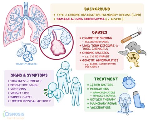 Image result for Emphysema Example