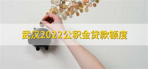 武汉2022公积金贷款额度 - 财梯网