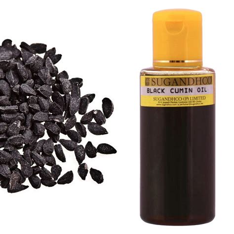 Buy SUGANDHCO Black Cumin Essential Oil (100 ml) Online at Low Prices ...