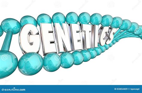 Genetics Definition 的图像结果