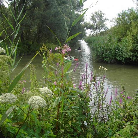 VISITORSCENTER BIESBOSCH DORDRECHT (2025) All You Need to Know BEFORE ...