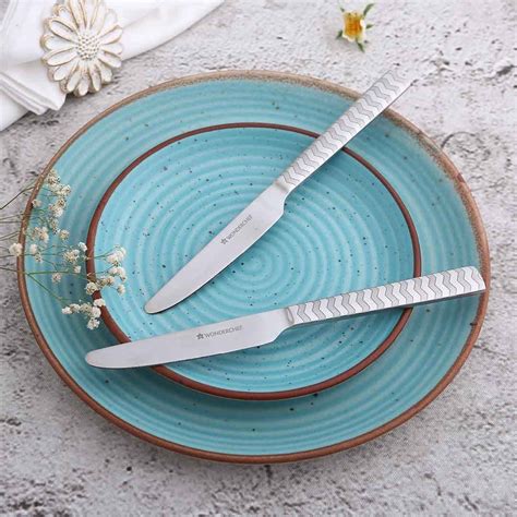 Buy Wonderchef Roma Dinner Knife, Set of 2 Online at Low Prices in ...