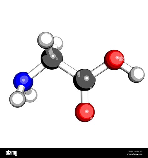 Amino Acid Structure Glycine at Joanne Tindall blog