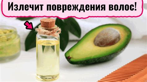 Масло авокадо для волос