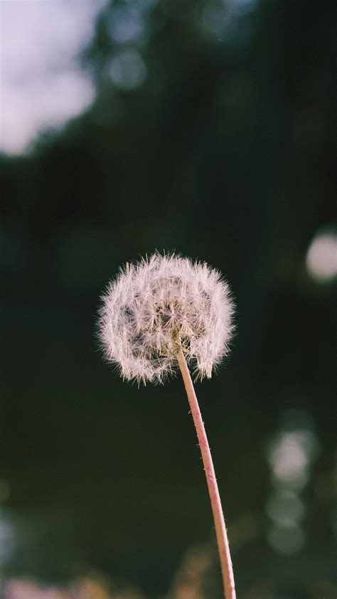 Gen X Soft Club{ Photos, Download The BEST Free Gen X Soft Club{ Stock ...