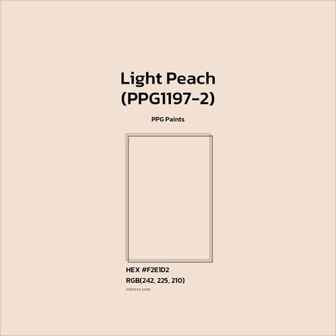 Light Peach Color Paint