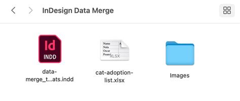Image result for InDesign Data Merge Text File Sample
