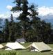 Chopta Tour Packages, Chopta Package Tours, Tour Package to Chopta