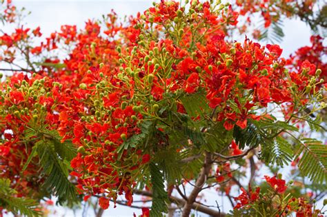Image result for The Conplexity of Algorithm
