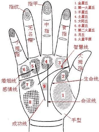 中国手诊手疗法的独特优势★掌纹手相★ 怎样看手诊-周易算命网