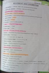 Locomotion and Movement: - NEET PDF Download