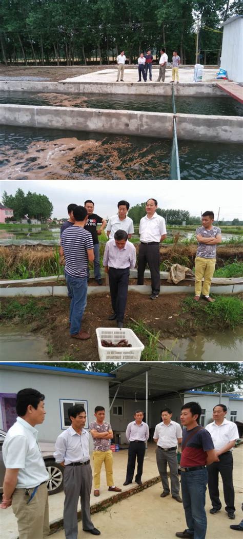 滁州市2020年6月份城市集中式饮用水水源地水质月报