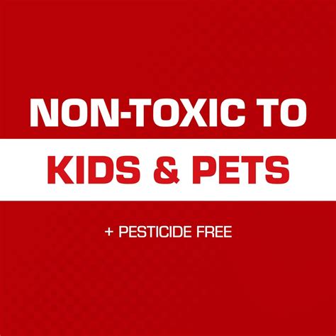 Tomcat Super Hold Glue Traps - Captures Mice & More India | Ubuy