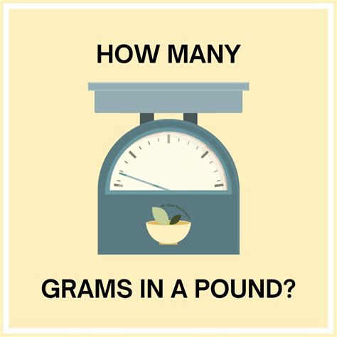 How Many Grams Are In A Pound? + Conversion Chart - My Plant Based Bowl