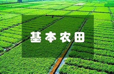 2019年农村征地果树补偿多少钱？附果树赔偿具体标准！ - 达达搜