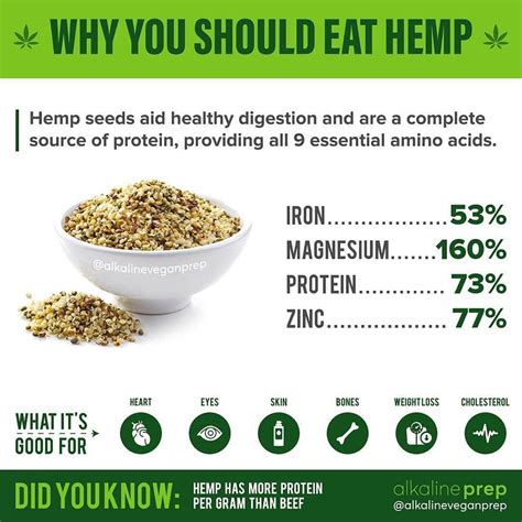 How Much Protein Is In Hemp Seeds And Why It Matters