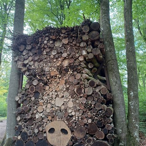 SKULPTURENPARK SLOTT VANAS (2025) All You Need to Know BEFORE You Go ...