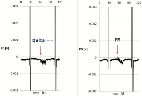 A 30-Min Exposure on Permethrin and Deltamethrin Modifies Ion Transport ...