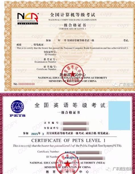 3+证书2020年新政策放宽证书要求 四种证书都可以_广东招生网