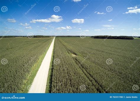 Summer in Latvian Countryside. Stock Photo - Image of ground, outdoor: 76331708