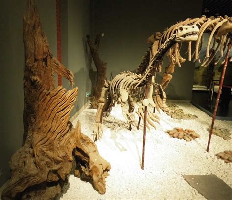 云南发现1.8亿年前恐龙化石 为侏罗纪早期物种——人民政协网