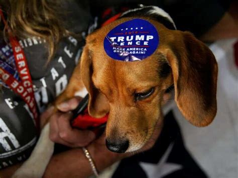 Trump's tariffs are starting to hit US consumers where it hurts ...