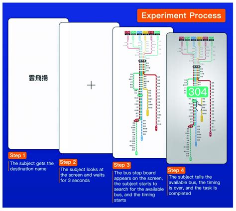 Experiment Process 的图像结果
