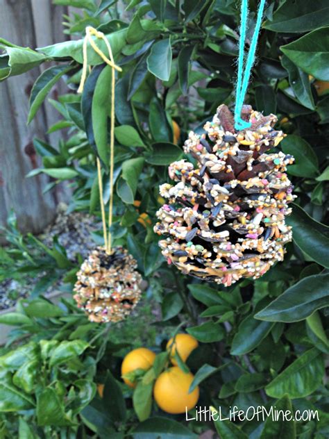 Pine Cone Bird Feeder Craft