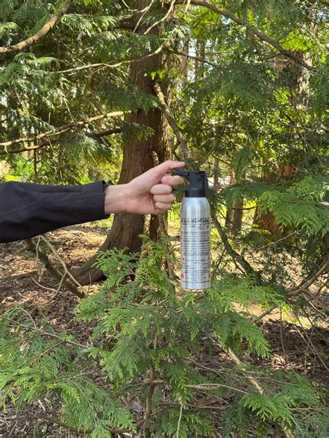 Does Expired Bear Spray Work