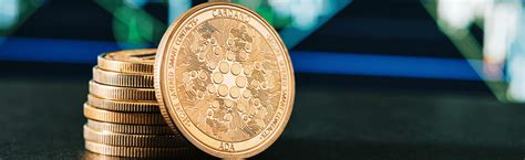 Image result for Cardano Explained