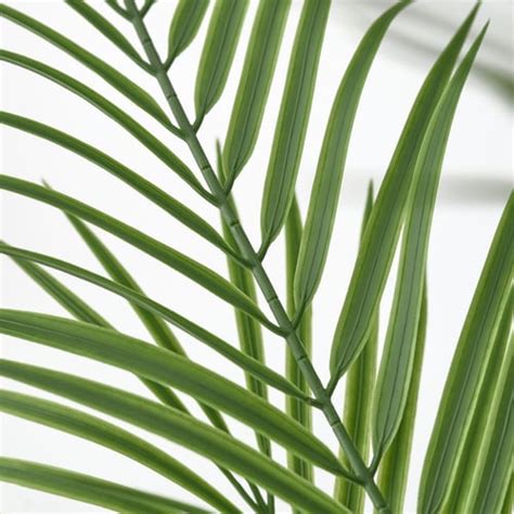 FEJKA artificial potted plant, in/outdoor Areca palm, 19 cm (7 ½") - IKEA