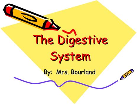 Image result for Digestive System Theme