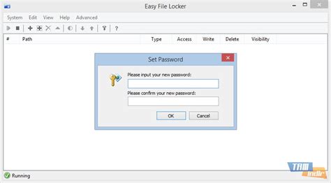 Image result for How to Use Easy File Locker Win11