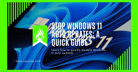 Image result for Auto Updates Turn Off Windows 11