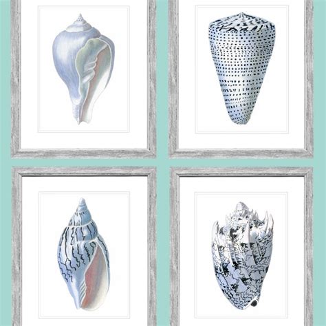 Image result for Sea Shells Prints