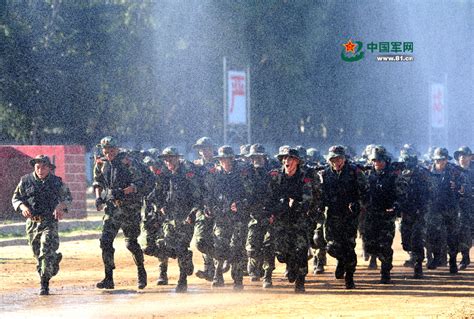 人民军队风采：陆上猛虎 - 中国军网