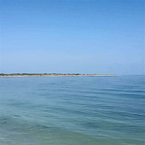 Image result for Shell Key Preserve